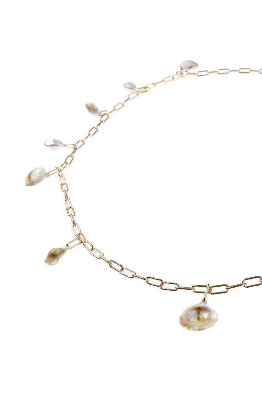 Deniz Kabuklu Aksesuarlı Kolye Standart Renk - 4