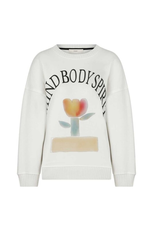  Desenli Kadın Sweatshirt Standart Renk - 4