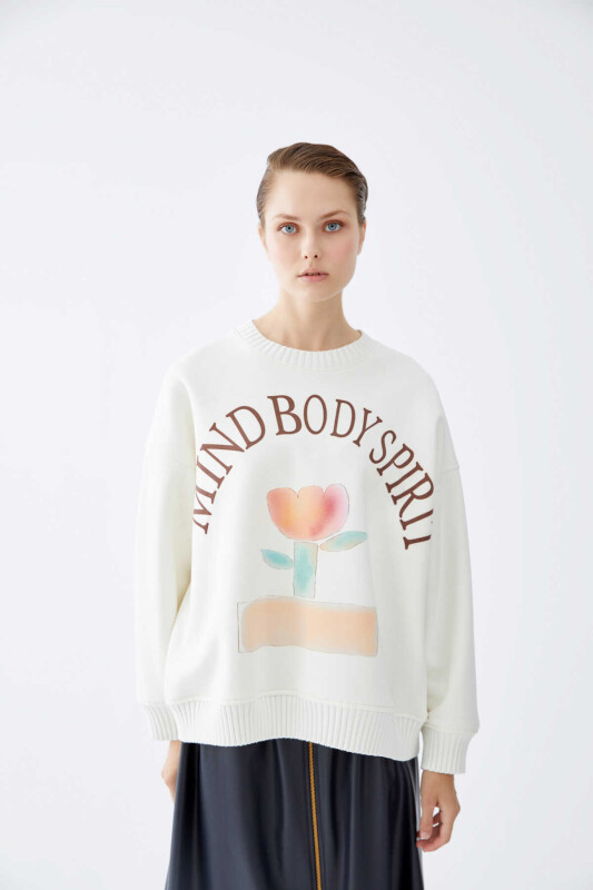  Desenli Kadın Sweatshirt Standart Renk - 1