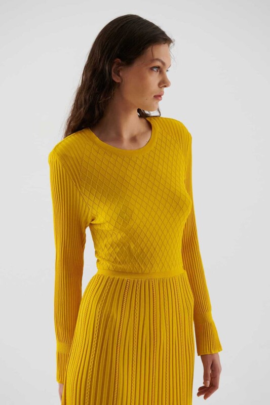  Desenli Triko Elbise Sarı - 3