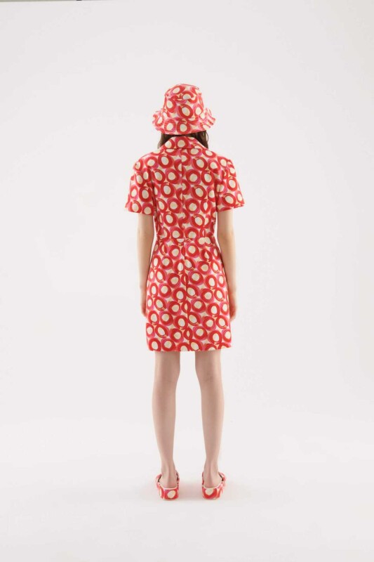 Düğmeli Desenli Elbise Standart Renk - 2