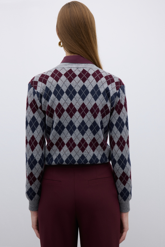 V Yaka Baklava Desenli Triko Hırka Standart Renk - Roman (1)